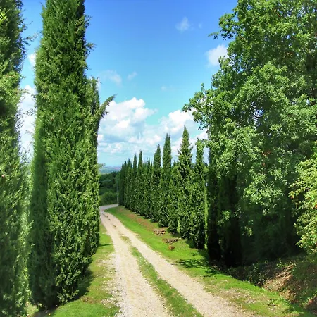 Rolling Of Val D'orcia Σπίτι διακοπών San Quirico dʼOrcia