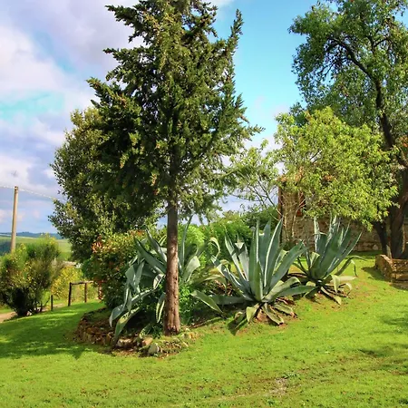 Rolling Of Val D'orcia Tatil Evi